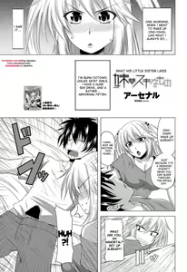 Imouto no Sukinamono | What His Little Sister Likes — hentai manga cover on Fhentai