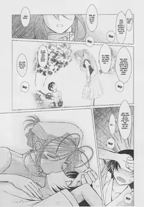 Page 8 of MIDGARD - preview thumbnail