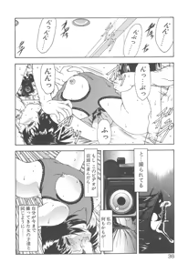 Page 40 of Haitoku no Kanata - preview thumbnail