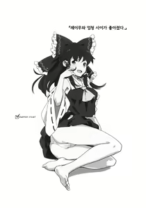 Page 3 of Reimu to Sugee Nakayoku Natta. | 레이무와 엄청 사이가 좋아졌다. - preview thumbnail