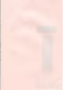 Page 5 of Soukai Engi Twiny-Attraction - preview thumbnail