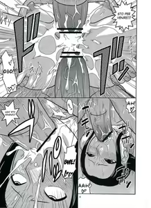 Page 8 of ROBIN SP 2 - preview thumbnail