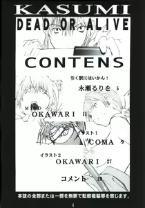 Page 4 of D.O.A KASUMI - preview thumbnail