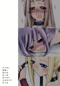Page 28 of Hyaku no yoru to rousoku to neko no o - preview thumbnail