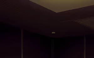 Page 14 of Kurayami - preview thumbnail