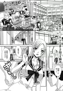 Yasashii Niku no Keitai — hentai manga cover on Fhentai