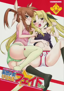 Toppatsuteki!! Lyrical Manga nano C77 Mousou Shoujo Lyrical Fate-chan — hentai manga cover on Fhentai