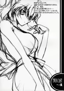 Page 13 of Twin Cast 4 - preview thumbnail