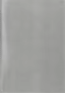 Page 3 of SECRET SERVICE - preview thumbnail