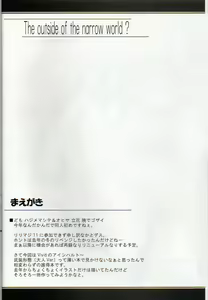 Page 3 of The outside of the narrow world? - preview thumbnail