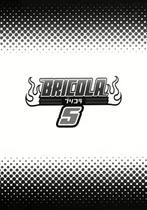 Page 23 of BRICOLA 5 - preview thumbnail