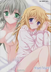 Angel Night — hentai manga cover on Fhentai