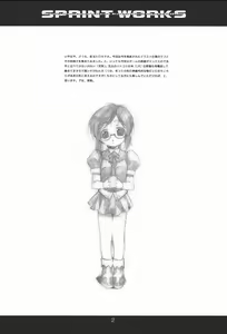 Page 3 of SPRINT WORKS - preview thumbnail