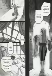 Page 34 of Gothic Lolita daguerreotype - preview thumbnail