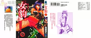 Mehyou - Female Panther Vol. 4 — hentai manga cover on Fhentai