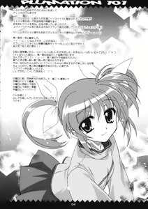 Page 3 of Plumation 101 - preview thumbnail