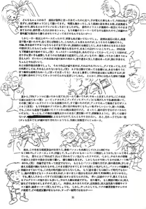 Page 30 of RENGE Ver.EVA Ni - preview thumbnail