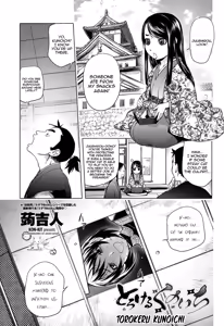 Torokeru Kunoichi NTR Story + Prequel — hentai manga cover on Fhentai