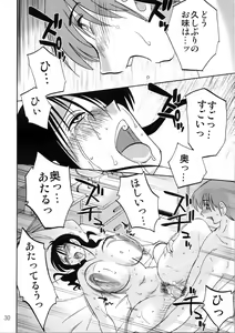 Page 30 of Hisae Haitoku Nikki Shiori no 7 - preview thumbnail