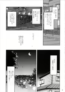 Page 3 of Hisae Haitoku Nikki Shiori no 7 - preview thumbnail