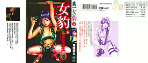 Mehyou - Female Panther Vol. 6 — hentai manga cover on Fhentai