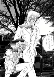 WaffenSS Vol 9 — hentai manga cover on Fhentai