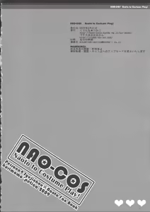 Page 33 of NAO-COS - preview thumbnail