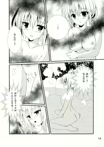 Page 14 of tricoro - preview thumbnail