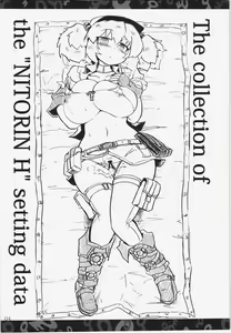 Page 4 of Nitorin H Shiryoushuu - preview thumbnail