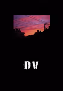 Page 3 of DV - preview thumbnail