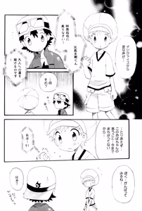 Page 5 of Seishun 18 Kin Kippu - preview thumbnail