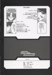 Page 29 of STEEL HEROINES Vol. 3 - preview thumbnail