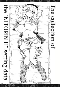 Page 3 of Nitorin H Shiryoushuu - preview thumbnail