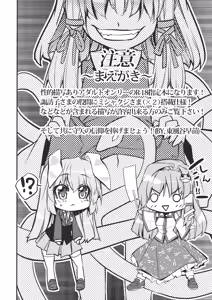 Page 3 of Sanae Udon Hitotama - preview thumbnail
