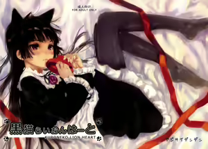 Kuroneko Lion Heart — hentai manga cover on Fhentai