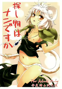 Sagashimono wa Nan Desu ka — hentai manga cover on Fhentai