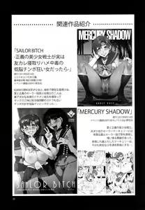 Page 23 of MERCURY SHADOW 2 - preview thumbnail