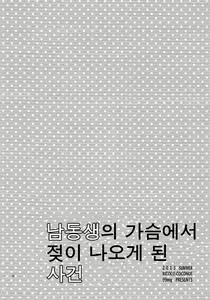 Page 3 of Otouto no Chippai kara Oppai ga Deru You ni Natta Ken | 남동생의 가슴에서 젖이 나오게 된 사건 - preview thumbnail