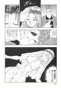 Page 247 of Dorei Senshi Maya II - preview thumbnail