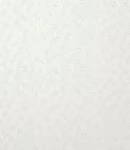 Page 2 of Ringo - preview thumbnail