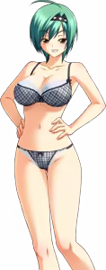 Page 332 of Character - Oppai Heart 03 - preview thumbnail