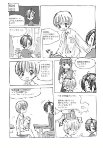 Page 40 of Shotaket 8 Catalog - preview thumbnail