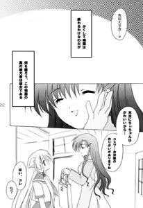 Page 21 of Chiibits 2 - preview thumbnail
