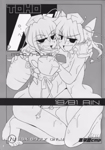 Page 3 of TOHO N+ 81 AIN - preview thumbnail