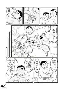 Page 30 of DSKY2 - preview thumbnail