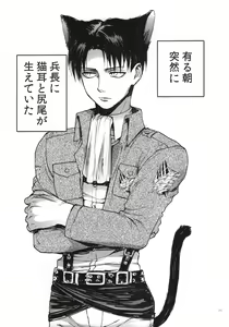 Page 3 of Nekomimi Heichou ga Hatsujoushiteru Dake no Hon - preview thumbnail