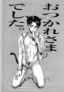 Page 40 of Nekomimi Heichou ga Hatsujoushiteru Dake no Hon - preview thumbnail