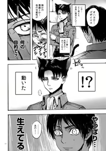 Page 4 of Nekomimi Heichou ga Hatsujoushiteru Dake no Hon - preview thumbnail