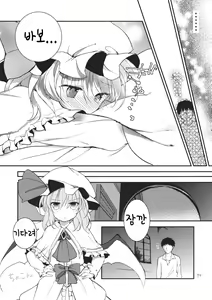 Page 23 of Remilia Scarlet no Ero Doujin ga Gensoukyou Iri | 레밀리아 스칼렛의 에로동인지가 환상들이 - preview thumbnail