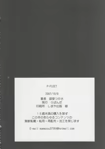 Page 25 of P-FLEET - preview thumbnail